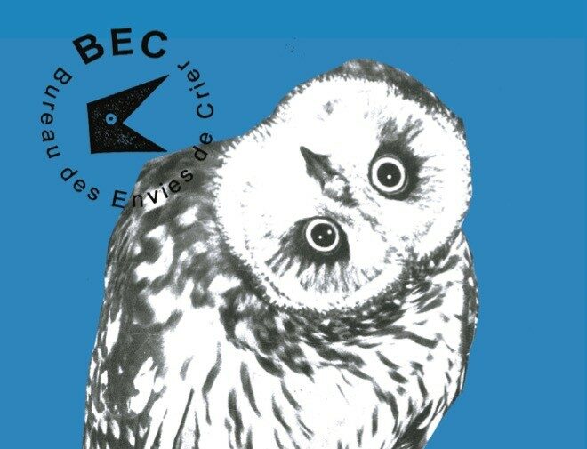 « Faucon s&rsquo;y mouette » d&rsquo;Ambre Lavandier - Les Modernes - librairie Grenoble